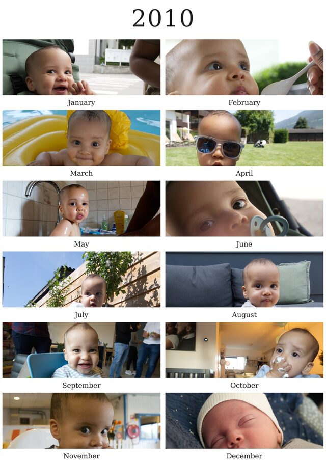 A Year in Photos example poster with month labels